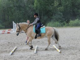 img_3462_web